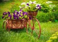 /album/quinto-varios/h-462-triciclo-de-flores-jpg/